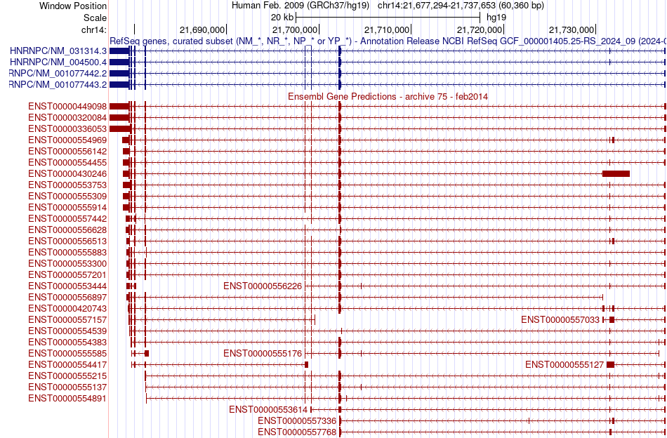 gene isoform structure of HNRNPC