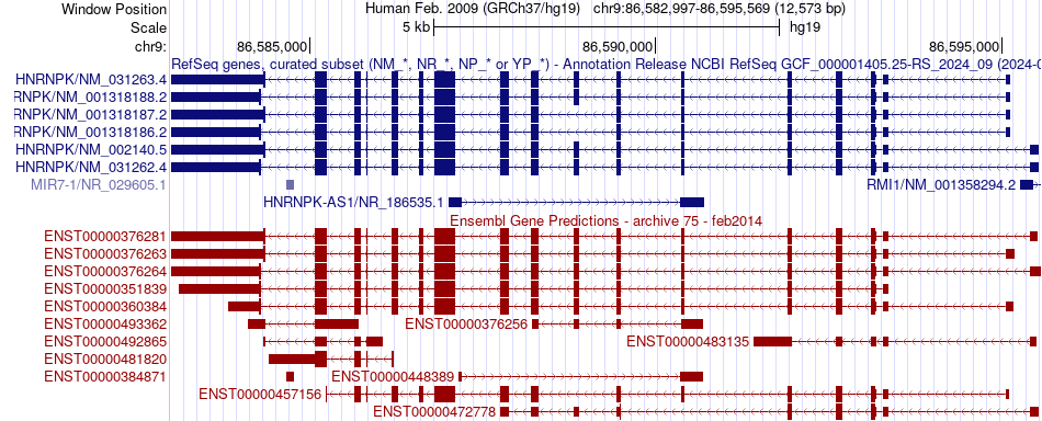 gene isoform structure of HNRNPK