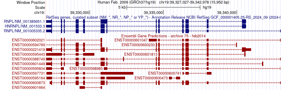gene isoform structure of HNRNPL