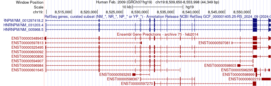 gene isoform structure of HNRNPM