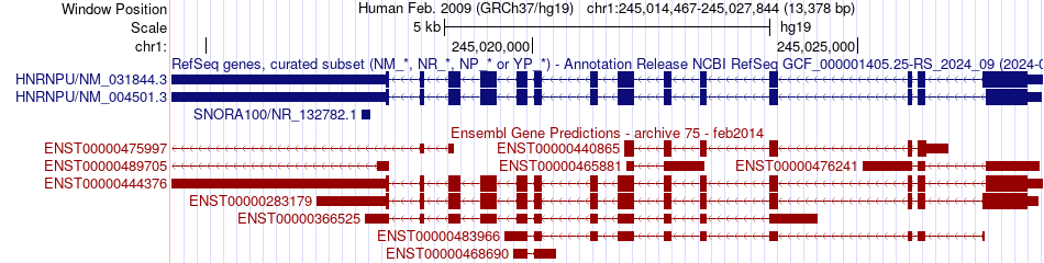 gene isoform structure of HNRNPU