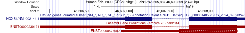 gene isoform structure of HOXB1