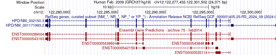 gene isoform structure of HPD