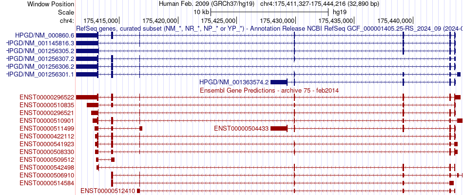 gene isoform structure of HPGD