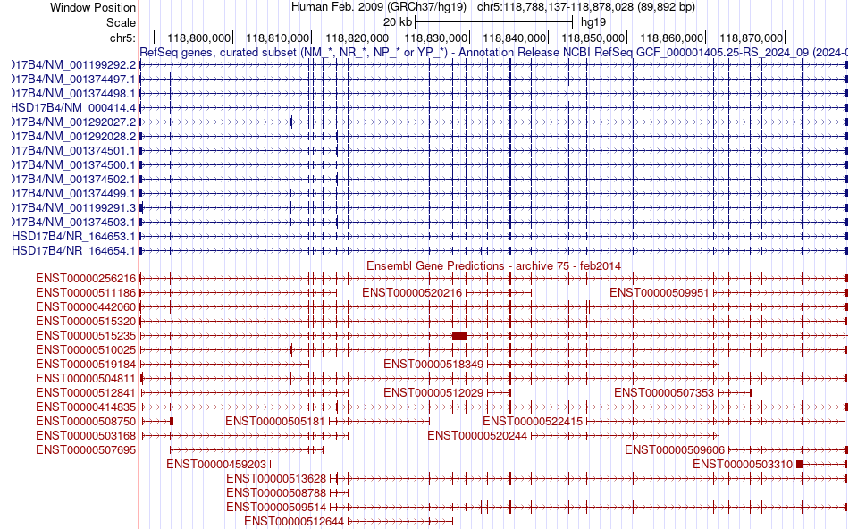 gene isoform structure of HSD17B4