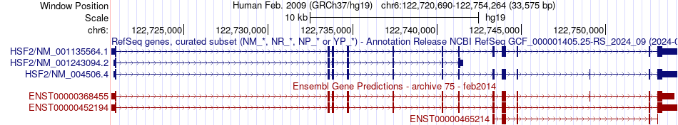gene isoform structure of HSF2