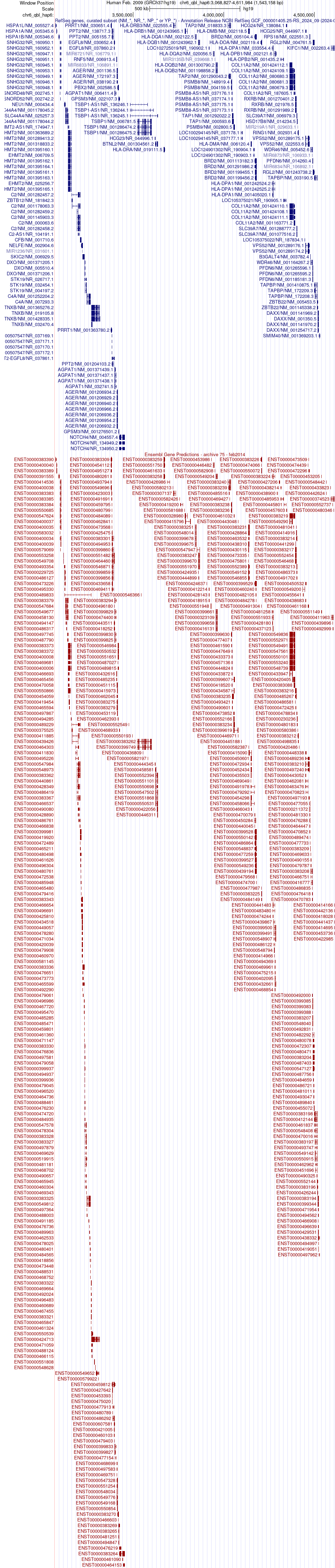 gene isoform structure of HSPA1A