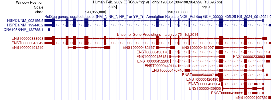 gene isoform structure of HSPD1