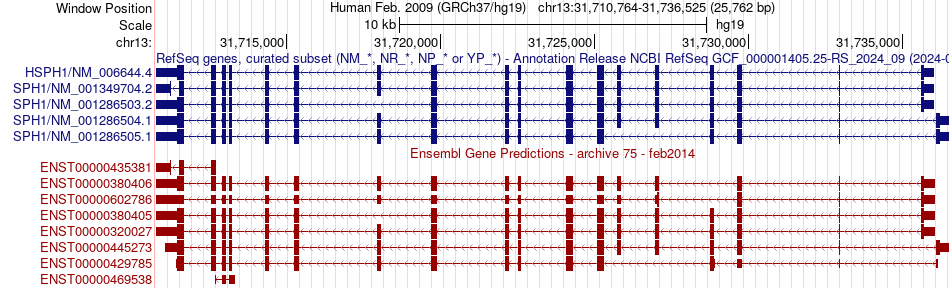 gene isoform structure of HSPH1