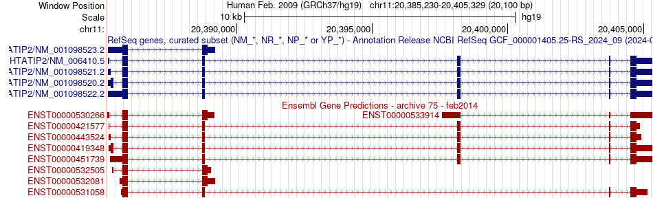 gene isoform structure of HTATIP2