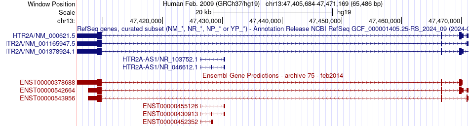 gene isoform structure of HTR2A