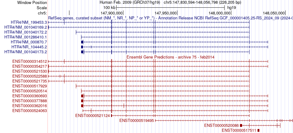 gene isoform structure of HTR4