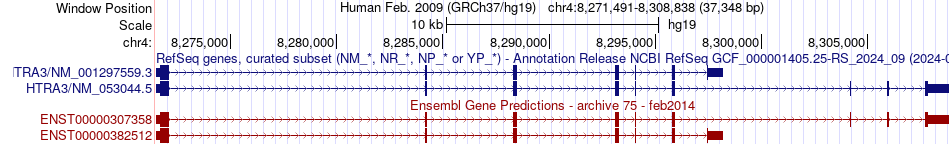gene isoform structure of HTRA3