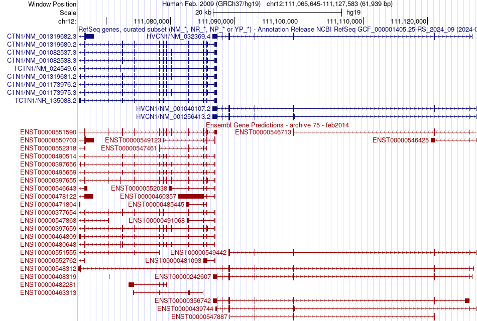 gene isoform structure of HVCN1