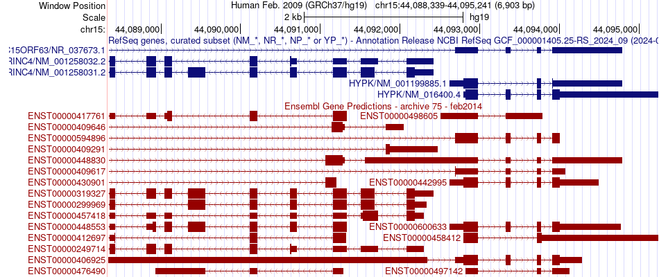 gene isoform structure of HYPK