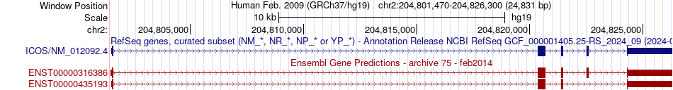 gene isoform structure of ICOS