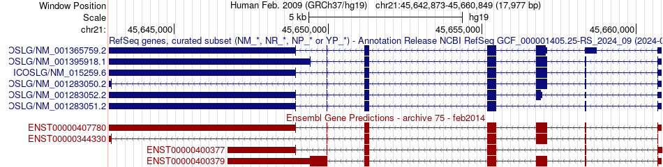 gene isoform structure of ICOSLG