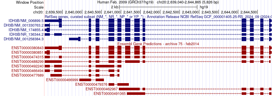 gene isoform structure of IDH3B