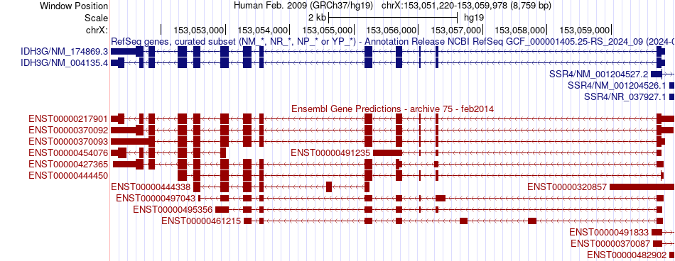 gene isoform structure of IDH3G