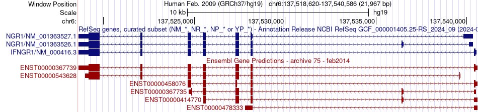 gene isoform structure of IFNGR1