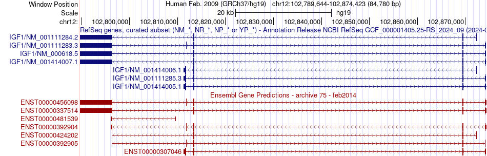 gene isoform structure of IGF1