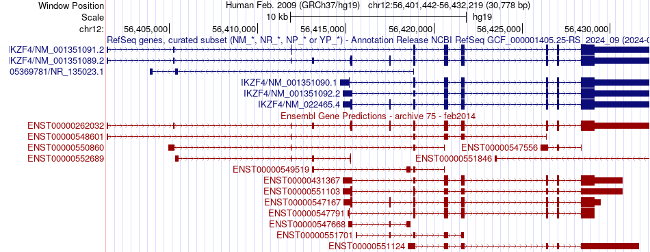 gene isoform structure of IKZF4