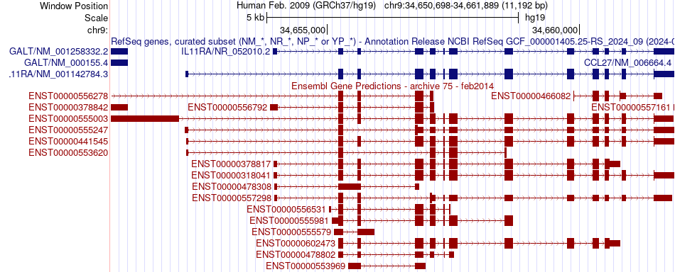 gene isoform structure of IL11RA