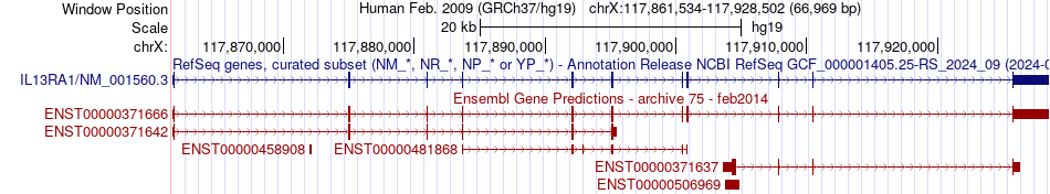 gene isoform structure of IL13RA1