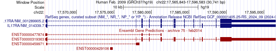 gene isoform structure of IL17RA