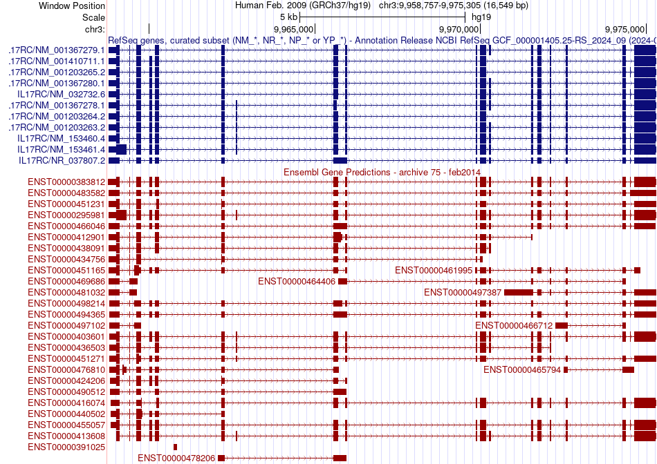 gene isoform structure of IL17RC