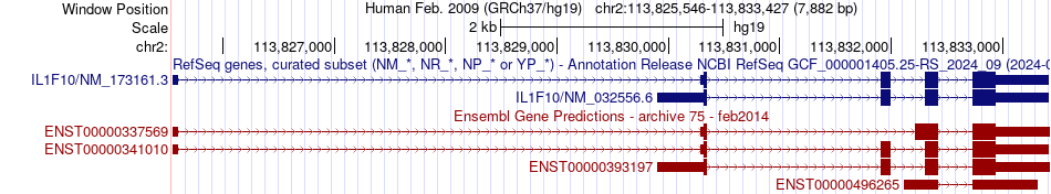 gene isoform structure of IL1F10