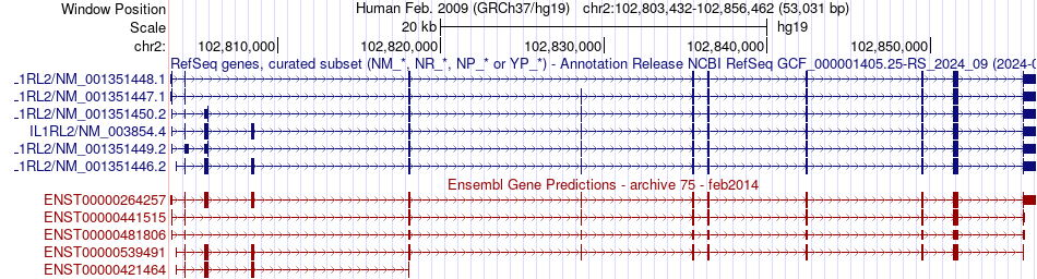 gene isoform structure of IL1RL2