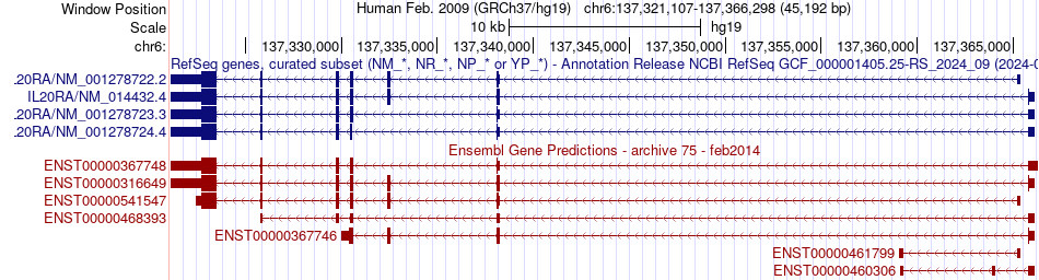 gene isoform structure of IL20RA