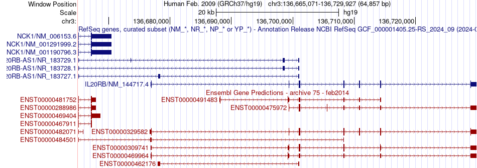 gene isoform structure of IL20RB