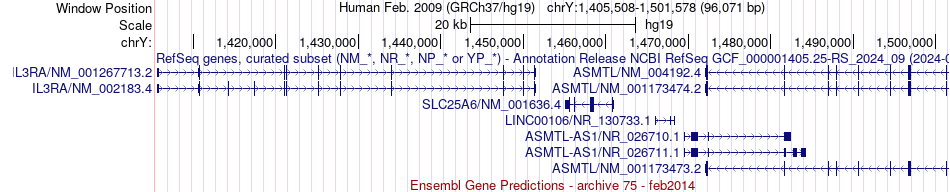 gene isoform structure of IL3RA