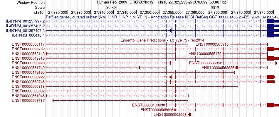 gene isoform structure of IL4R