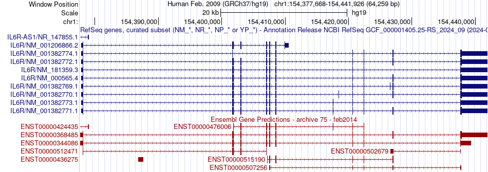 gene isoform structure of IL6R