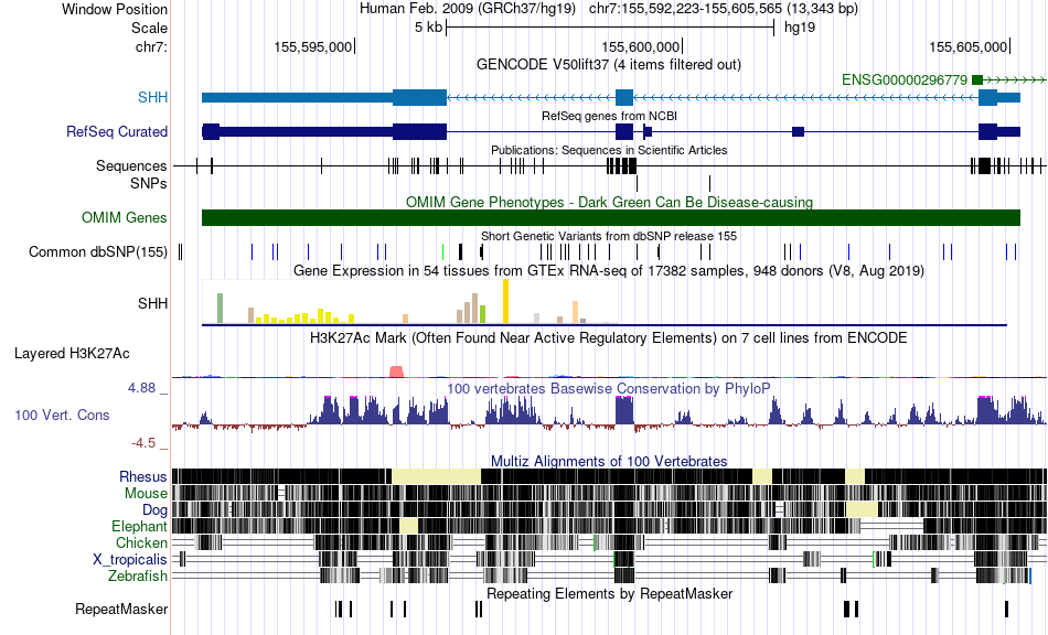gene isoform structure of ILRUN