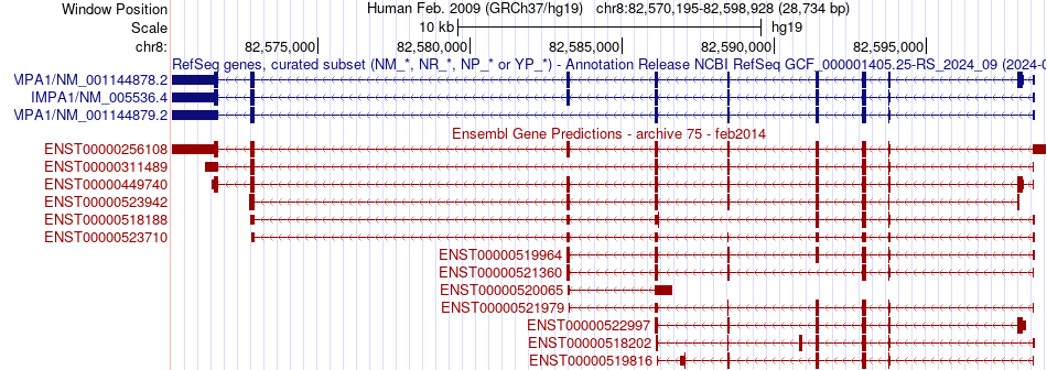 gene isoform structure of IMPA1