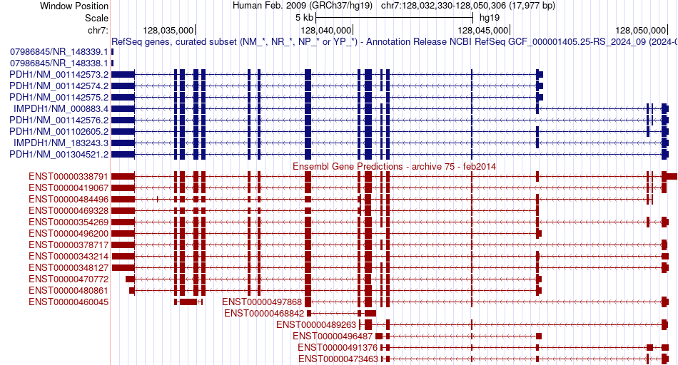 gene isoform structure of IMPDH1