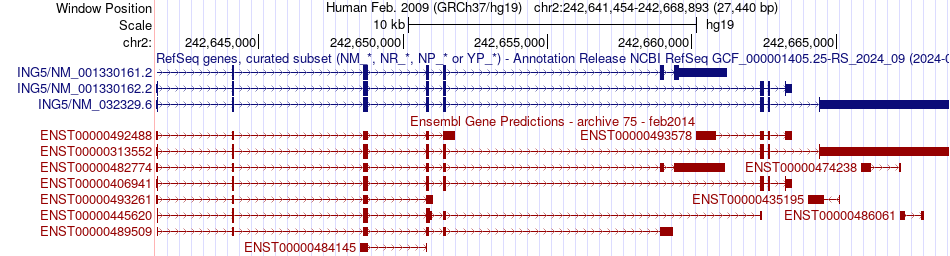 gene isoform structure of ING5