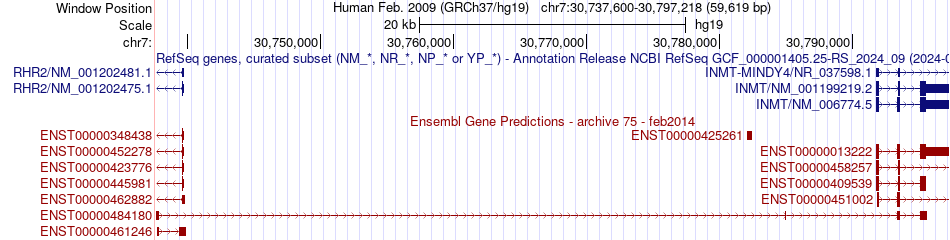 gene isoform structure of INMT