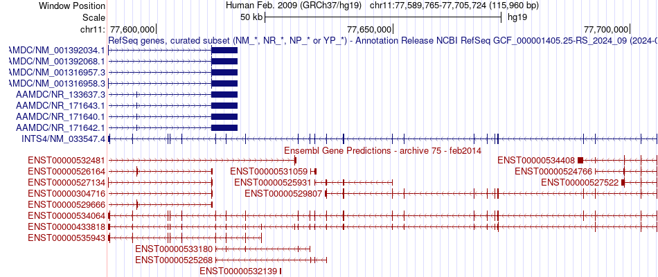 gene isoform structure of INTS4