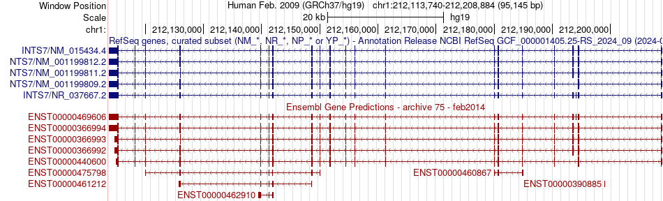 gene isoform structure of INTS7