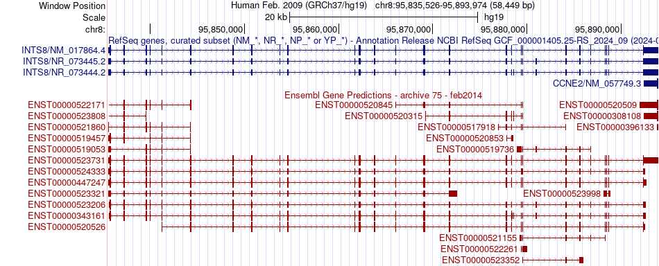 gene isoform structure of INTS8