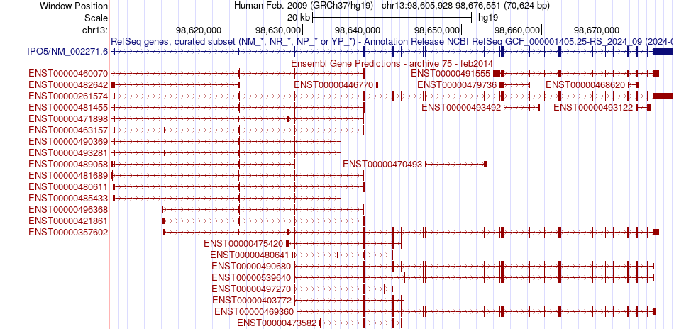 gene isoform structure of IPO5