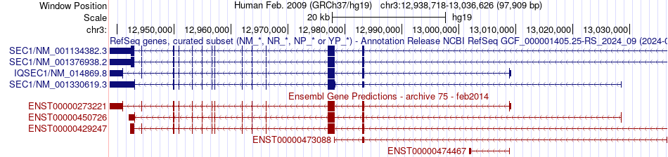 gene isoform structure of IQSEC1