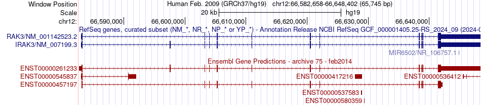 gene isoform structure of IRAK3