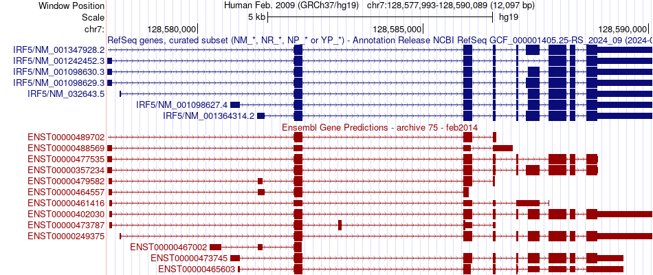 gene isoform structure of IRF5