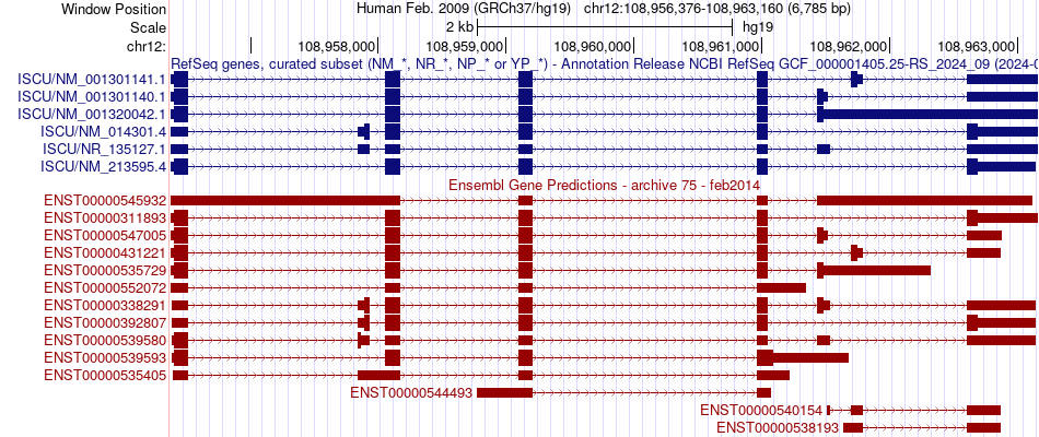 gene isoform structure of ISCU